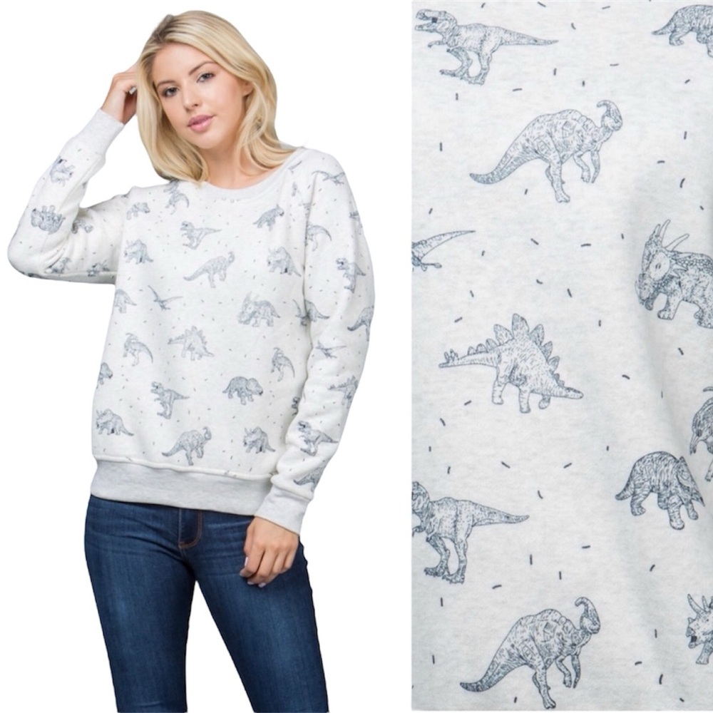 🦖🦕 Dinosaurs Print Sweater Pullover Sweatshirt